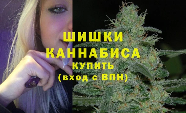 СК Гусев