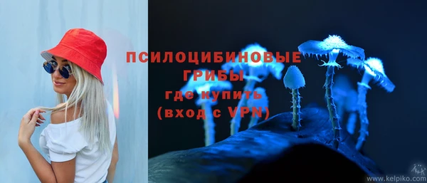 дживик Гусиноозёрск