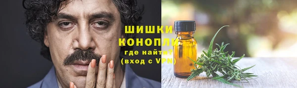 СК Гусев