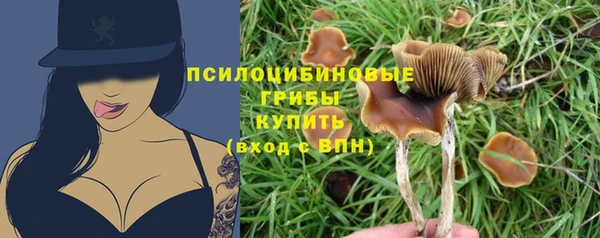 мет Гусь-Хрустальный