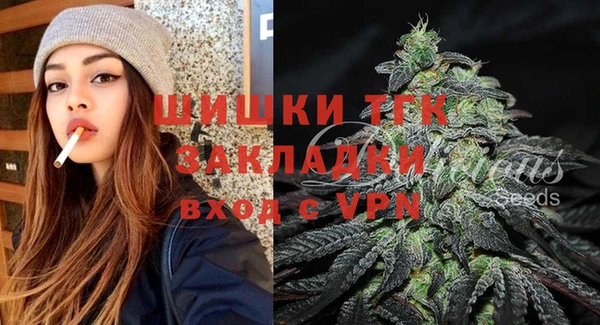 СК Гусев