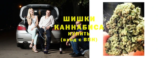 дживик Гусиноозёрск